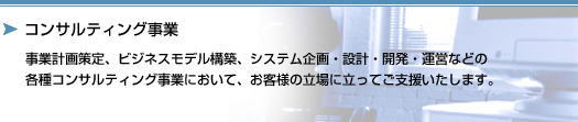 事業計画策定、ビジネスモデル構築、システム企画・設計・開発・運営などの各種コンサルティング事業において、お客様の立場に立ってご支援いたします。 コンサルティング事業